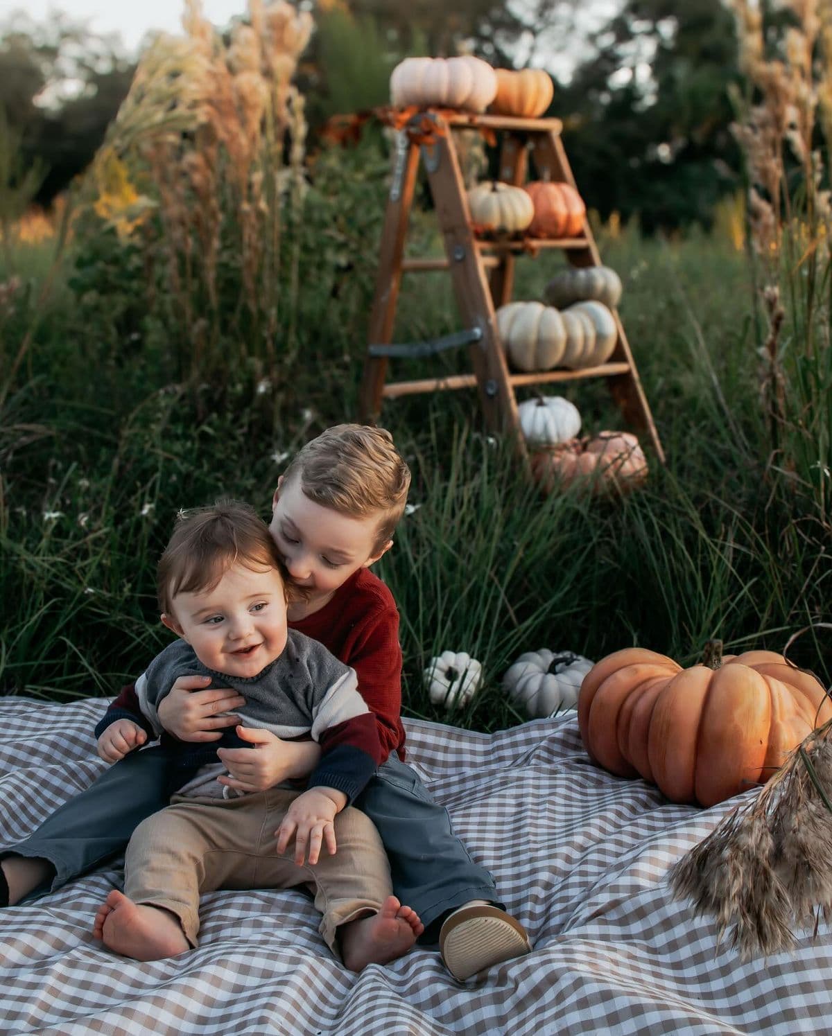In the Autumn Fields
