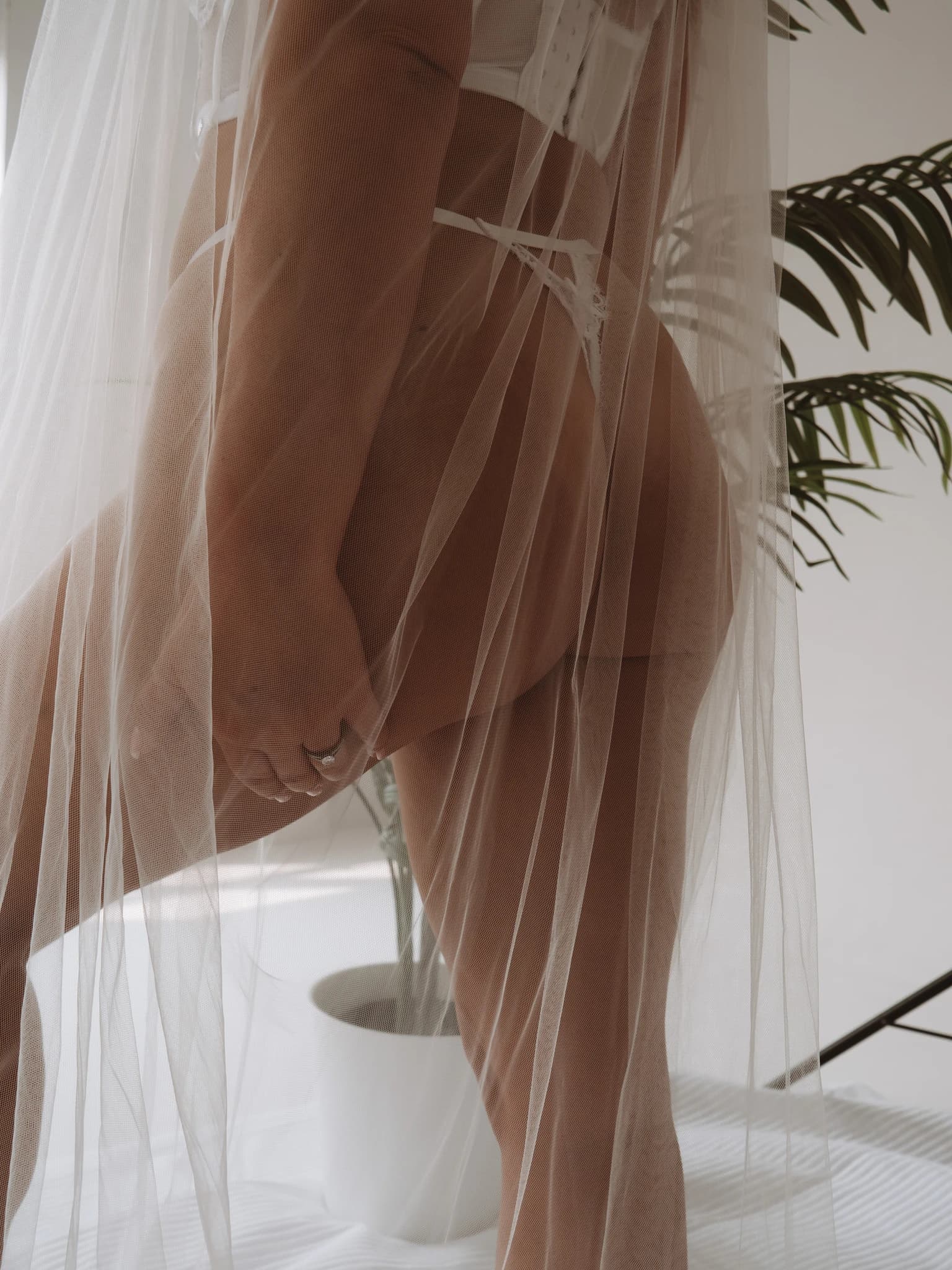 A person wearing a sheer tulle veil or fabric draped around their shoulders and torso, standing indoors with potted plants visible in the background.